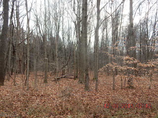 Creek Road Andover, OH 44003 - Photo 4 of 7 Gallery Image 4