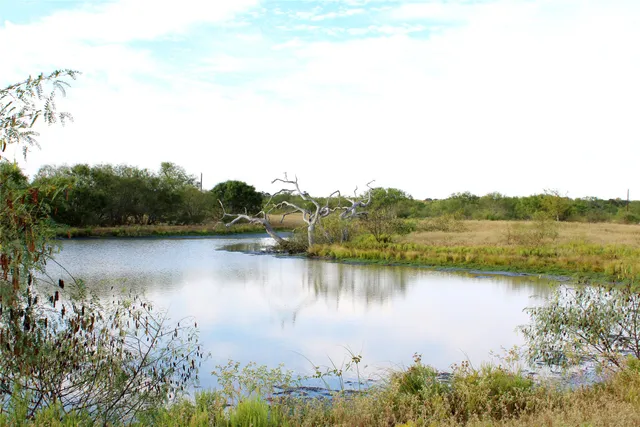 a view of lake with green space