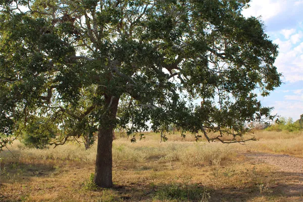 a view of lake and mountain