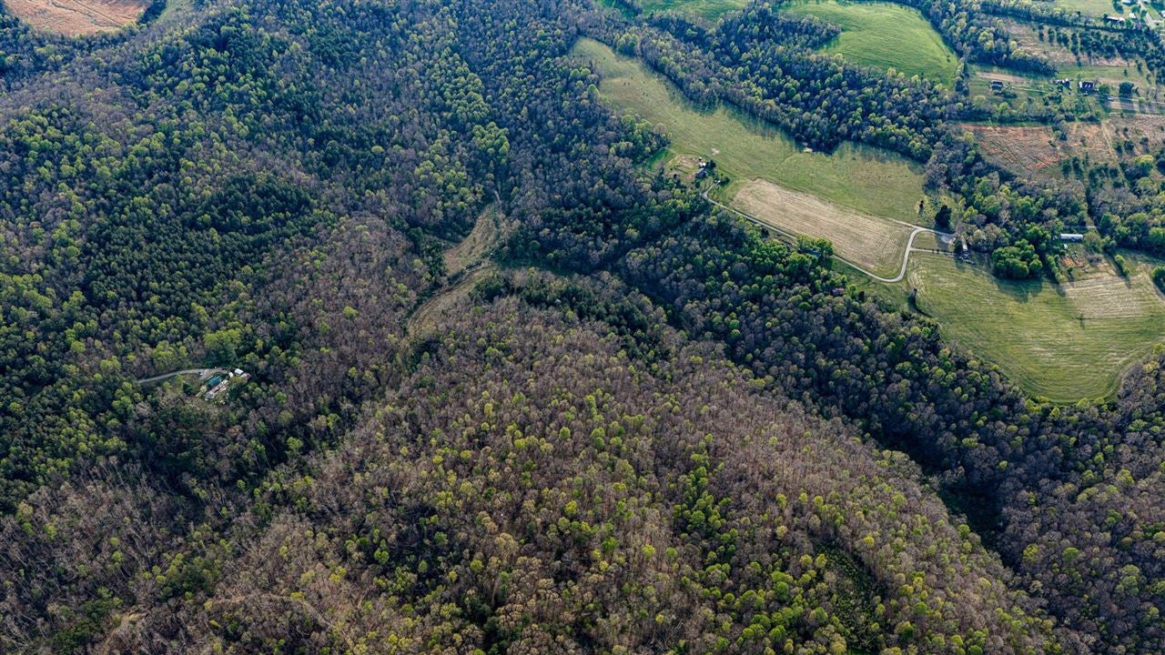 0 West Vincent Road Bee Spring, KY 42207 - Photo 8 of 9 Gallery Image 8