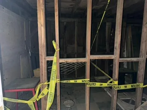 a view of a lush green forest