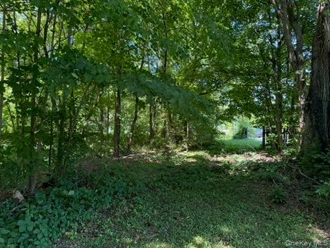 22 Beilke Road Millerton, NY 12546 - Photo 19 of 30 a view of a lush green forest