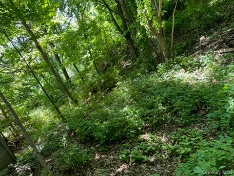 22 Beilke Road Millerton, NY 12546 - Photo 21 of 30 a view of a lush green forest