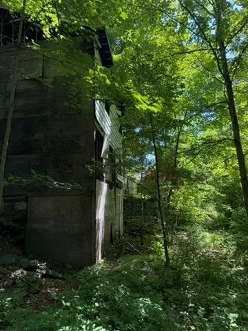 a view of a house with a tree