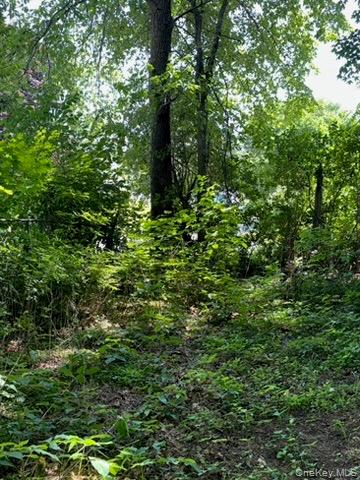 22 Beilke Road Millerton, NY 12546 - Photo 24 of 30