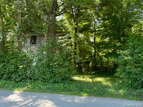 22 Beilke Road Millerton, NY 12546 - Photo 25 of 30 a view of a yard