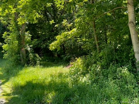22 Beilke Road Millerton, NY 12546 - Photo 28 of 30 a view of a lush green forest