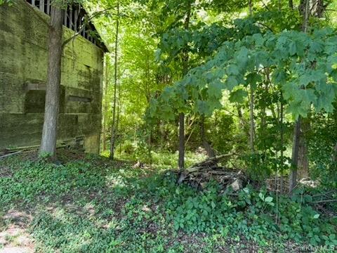 22 Beilke Road Millerton, NY 12546 - Photo 3 of 30 a view of a garden