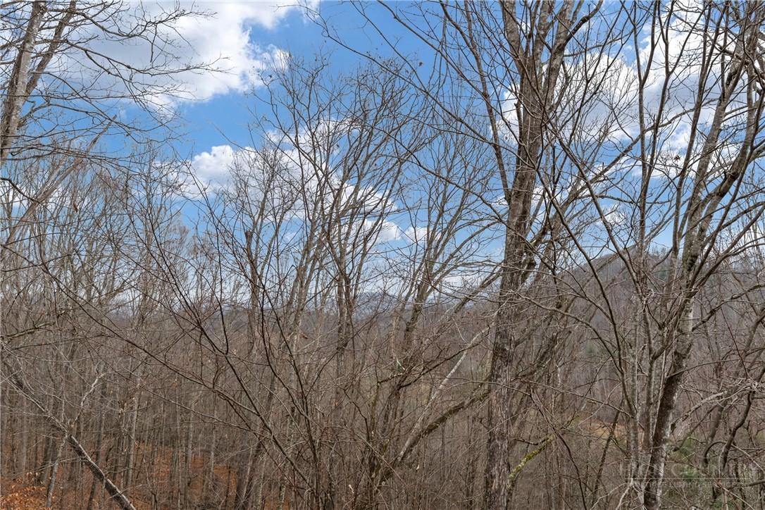 127 Marc Street Boone, NC 28607 - Photo 36 of 37