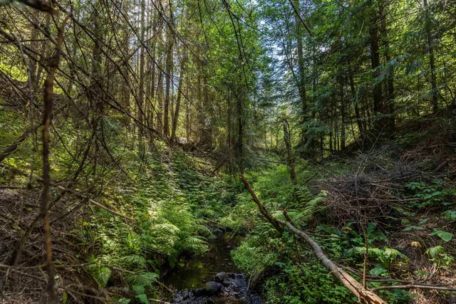 $264,000 | 2157 McCloud Creek Road, Newport, WA 99156