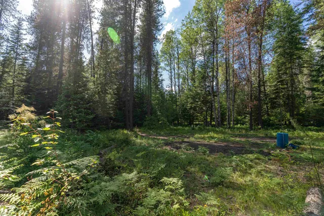 $264,000 | 2157 McCloud Creek Road, Newport, WA 99156