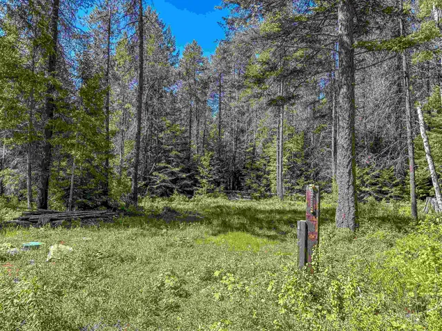 $264,000 | 2157 McCloud Creek Road, Newport, WA 99156