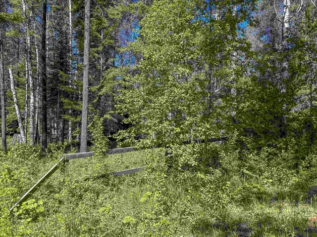 $264,000 | 2157 McCloud Creek Road, Newport, WA 99156