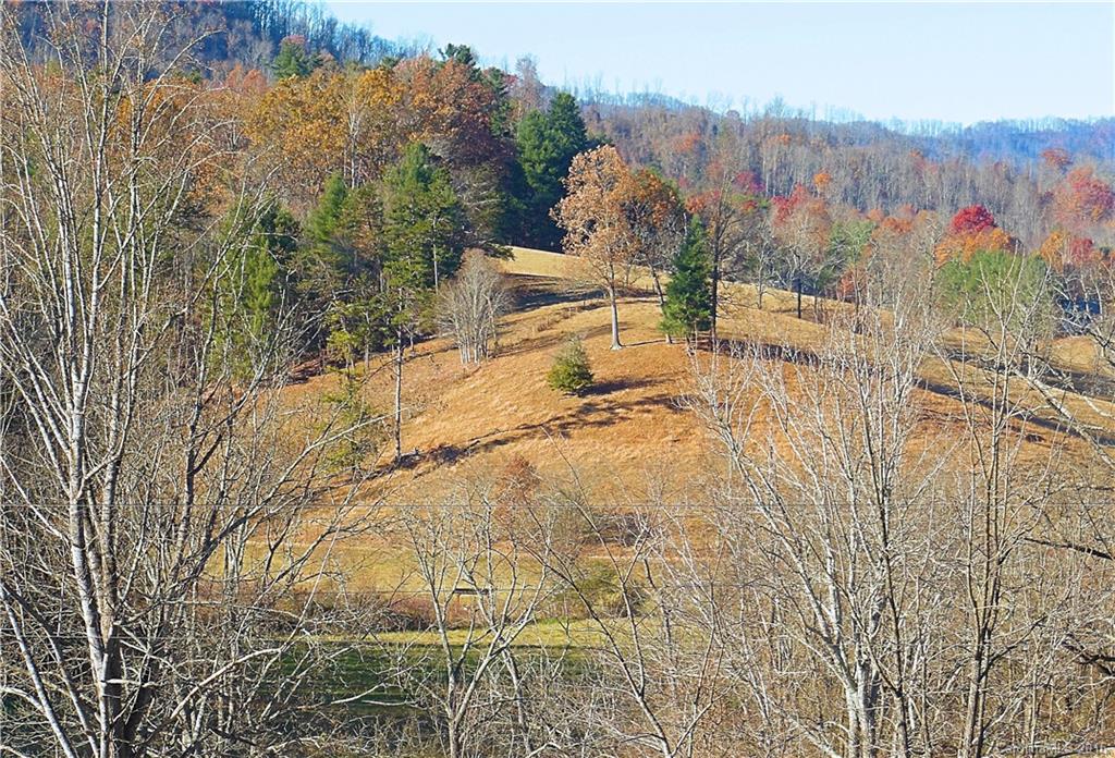 9999 Farmstead Road, Unit 27 Leicester, NC 28748 - Photo 4 of 6 Gallery Image 4