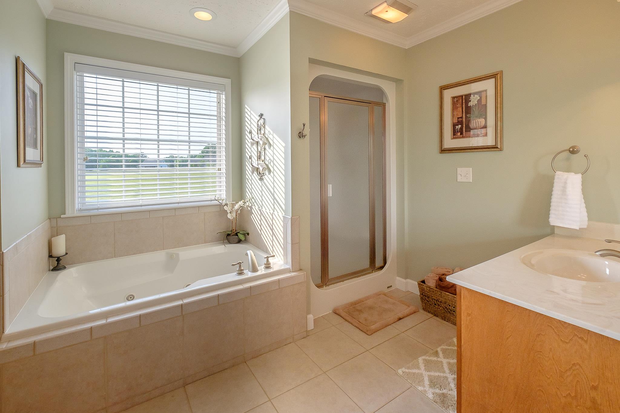 329 Urban Farms Road Manchester, TN 37355 - Photo 21 of 29 a bathroom with a bathtub and a sink