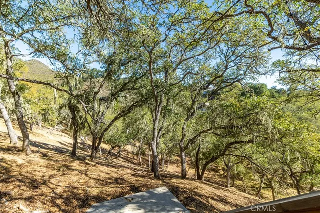 a view of a yard with a tree
