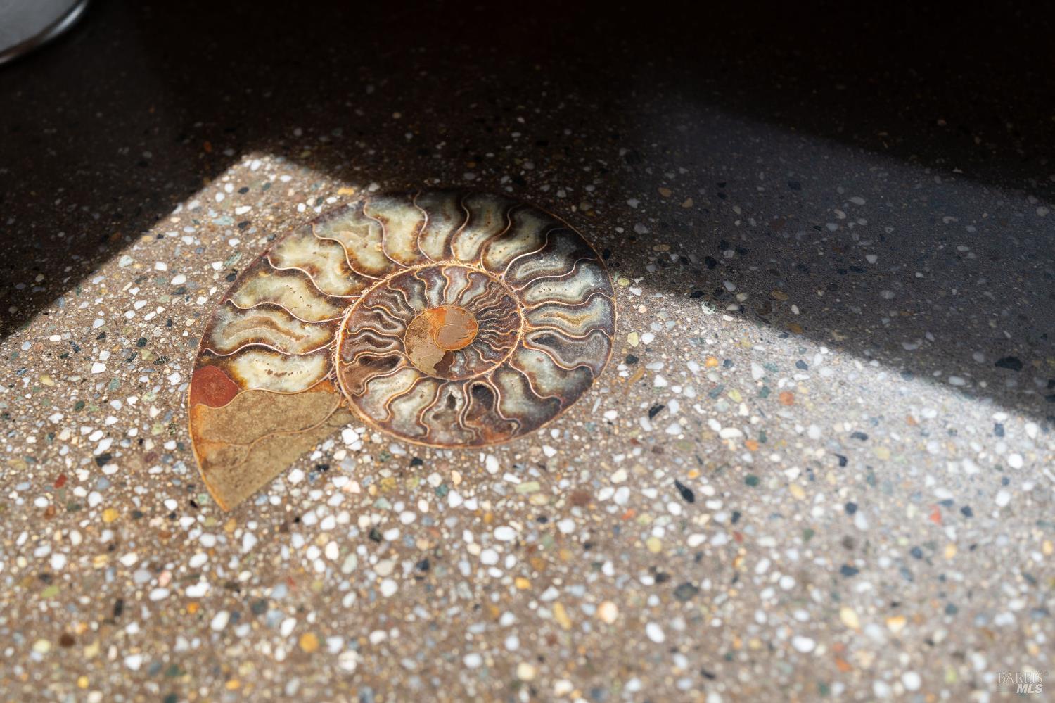 40445 Tide Pool The Sea Ranch, CA 95497 - Photo 18 of 75