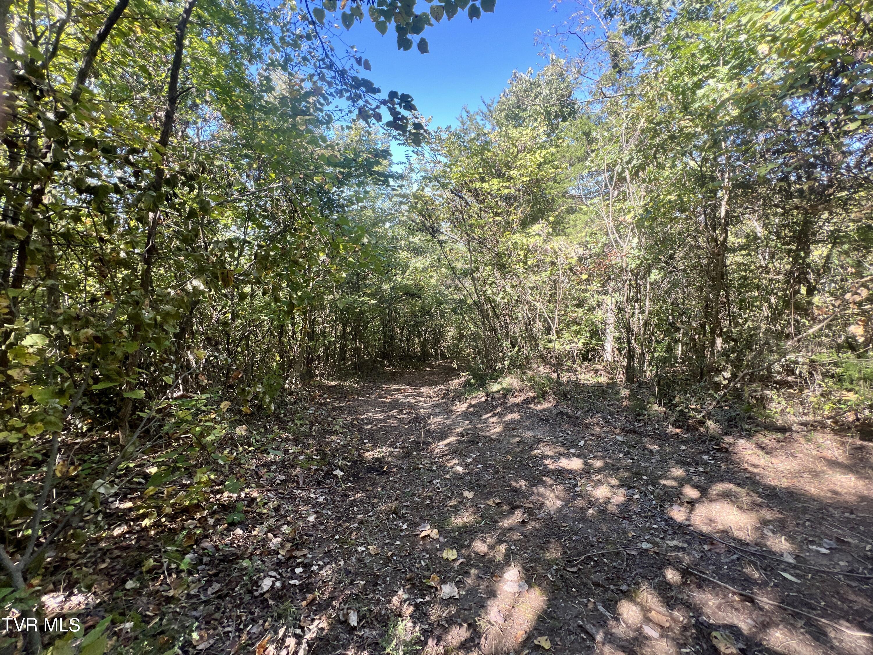 18.04-ac Shipley Road Greeneville, TN 37743 - Photo 5 of 32 _Pic5 (28)