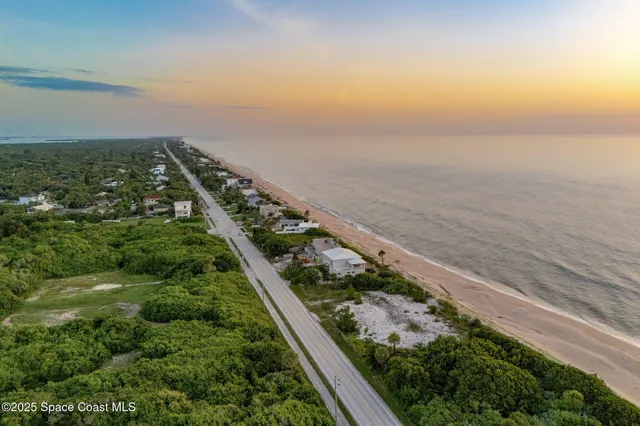 a close up of a plant