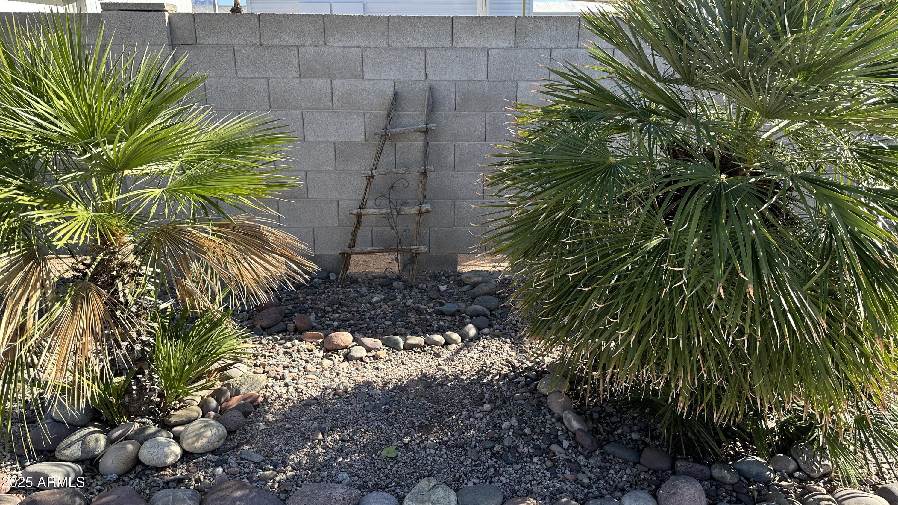 834 South Meridian Road, Unit 105 Apache Junction, AZ 85120 - Photo 47 of 48 a plant that is in a garden