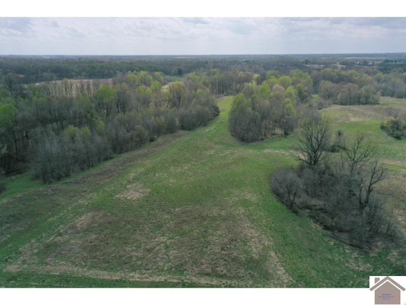 5851 Reuben Road Water Valley, KY 42085 - Photo 17 of 35 Photo 17