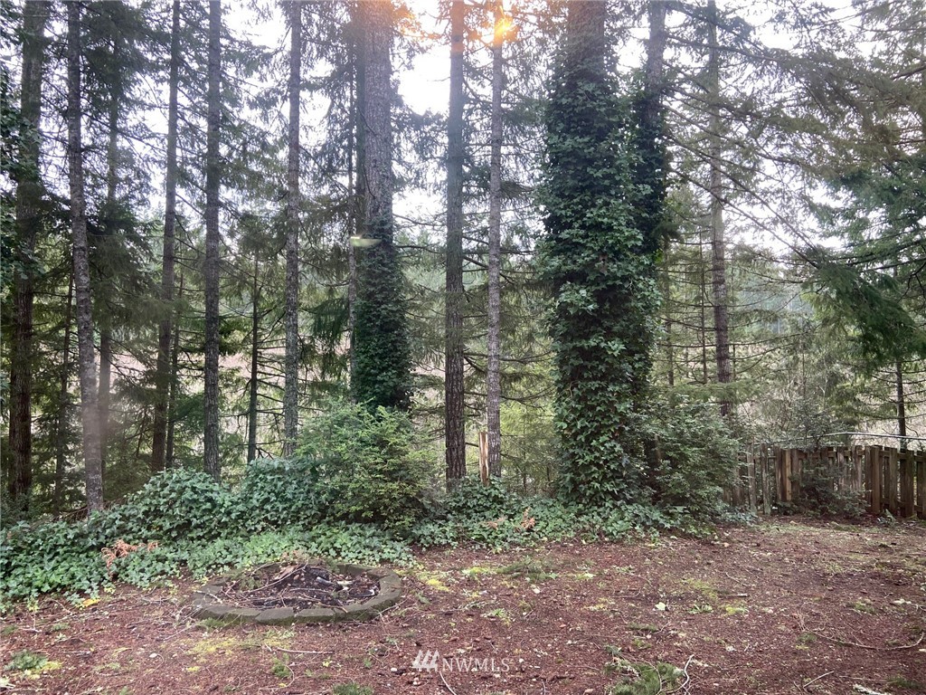 4228 Kellum Ranch Road Northwest Bremerton, WA 98312 - Photo 15 of 18 Gallery Image 15