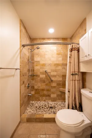 a bathroom with a shower and a toilet