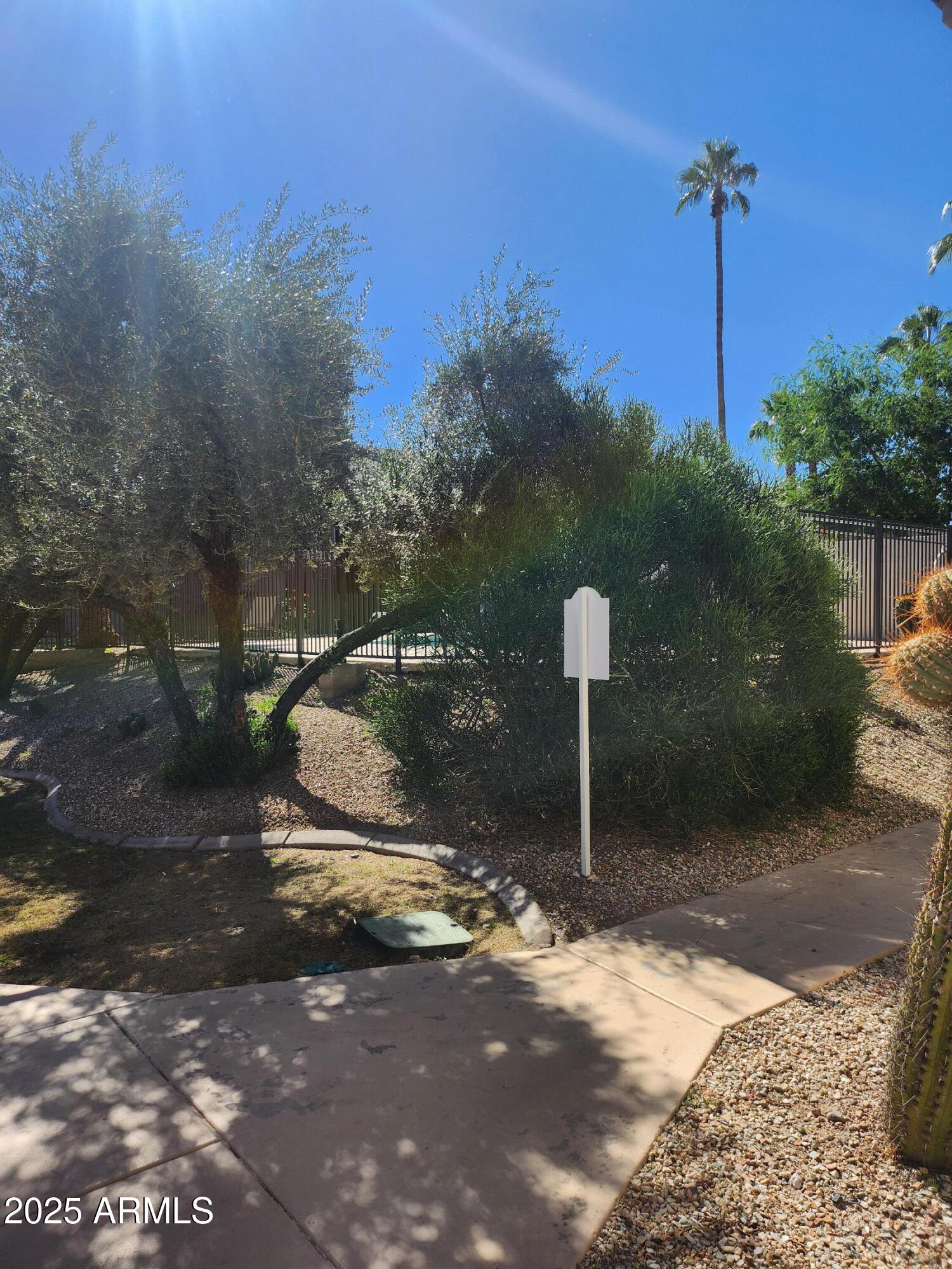 12440 North 20th Street, Unit 102 Phoenix, AZ 85022 - Photo 9 of 13 a street view with tall trees