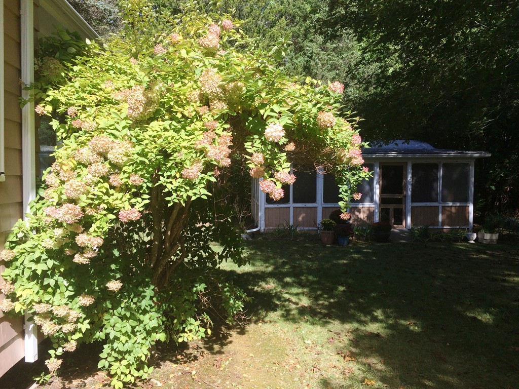 738 Cornell Road Tiverton, RI 02878 - Photo 6 of 22