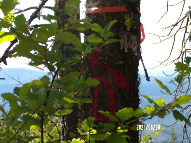 $60,000 | 4-xx A 4-xx A Buffy Lane, Inchelium, WA 99138