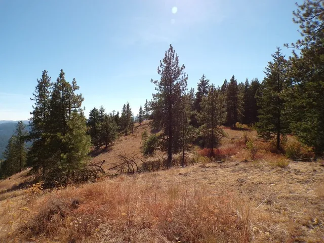 $60,000 | 4-xx A 4-xx A Buffy Lane, Inchelium, WA 99138