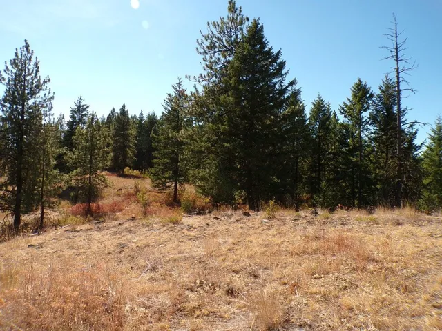 $60,000 | 4-xx A 4-xx A Buffy Lane, Inchelium, WA 99138