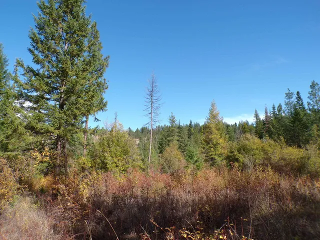 $60,000 | 4-xx A 4-xx A Buffy Lane, Inchelium, WA 99138