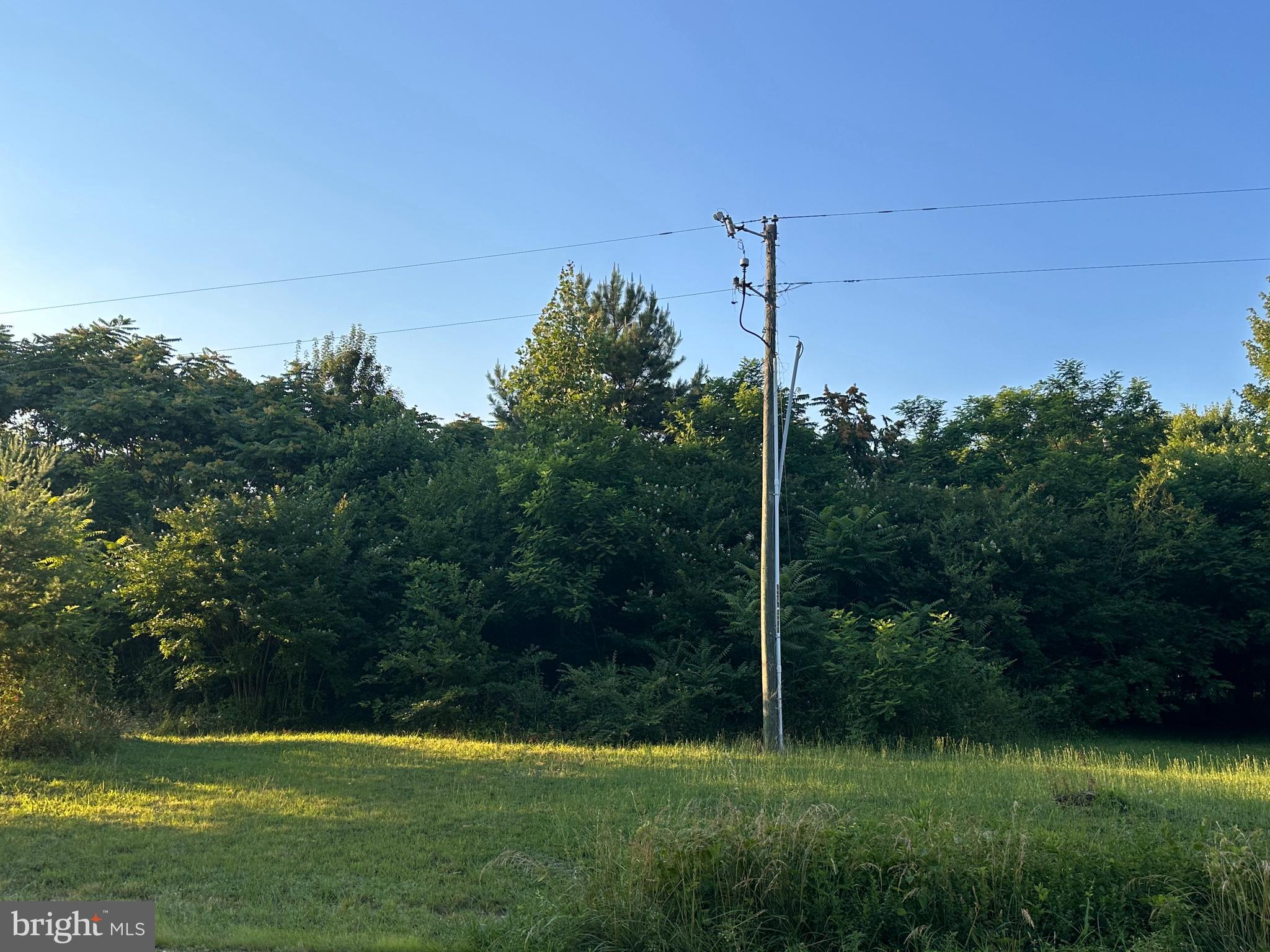 6201 Hickory Ridge Road Spotsylvania, VA 22551 - Photo 6 of 6