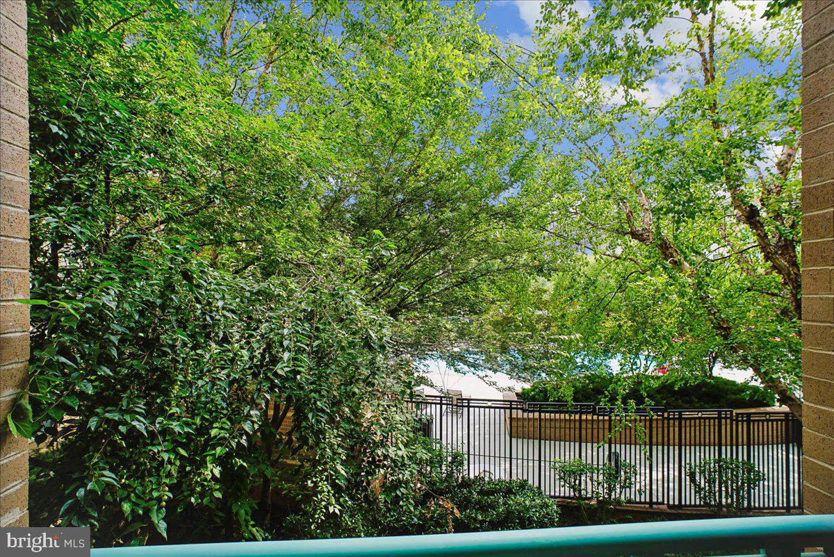 Undisclosed Address Reston, VA 20190 - Photo 16 of 60 Beautiful Views of the Courtyard