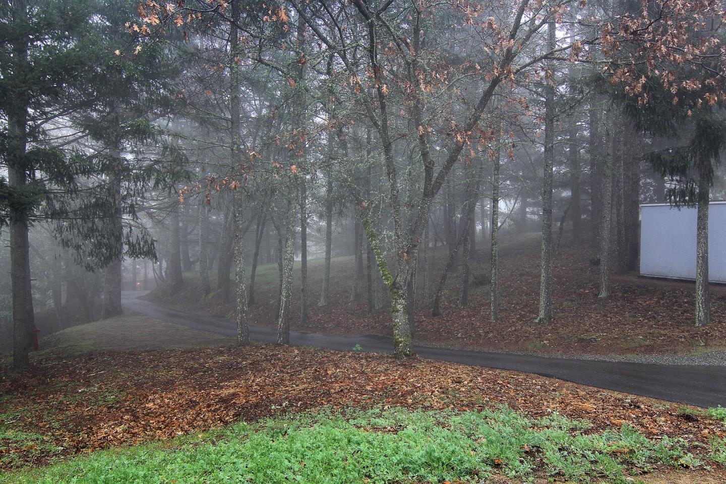 25276 Quail Ridge Road Los Gatos, CA 95033 - Photo 7 of 23 Gallery Image 7