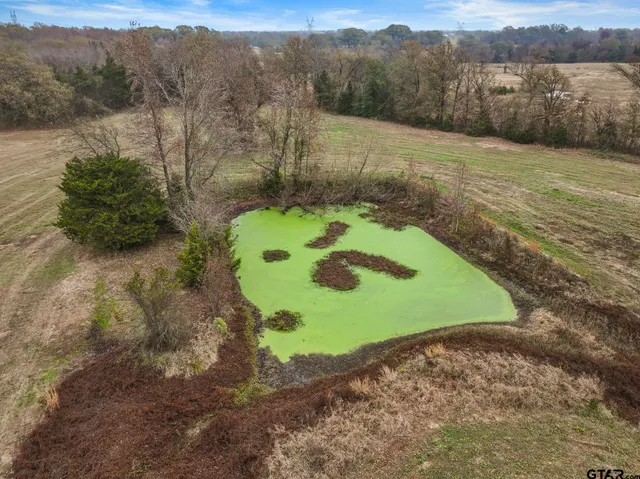 a view of a backyard of a house