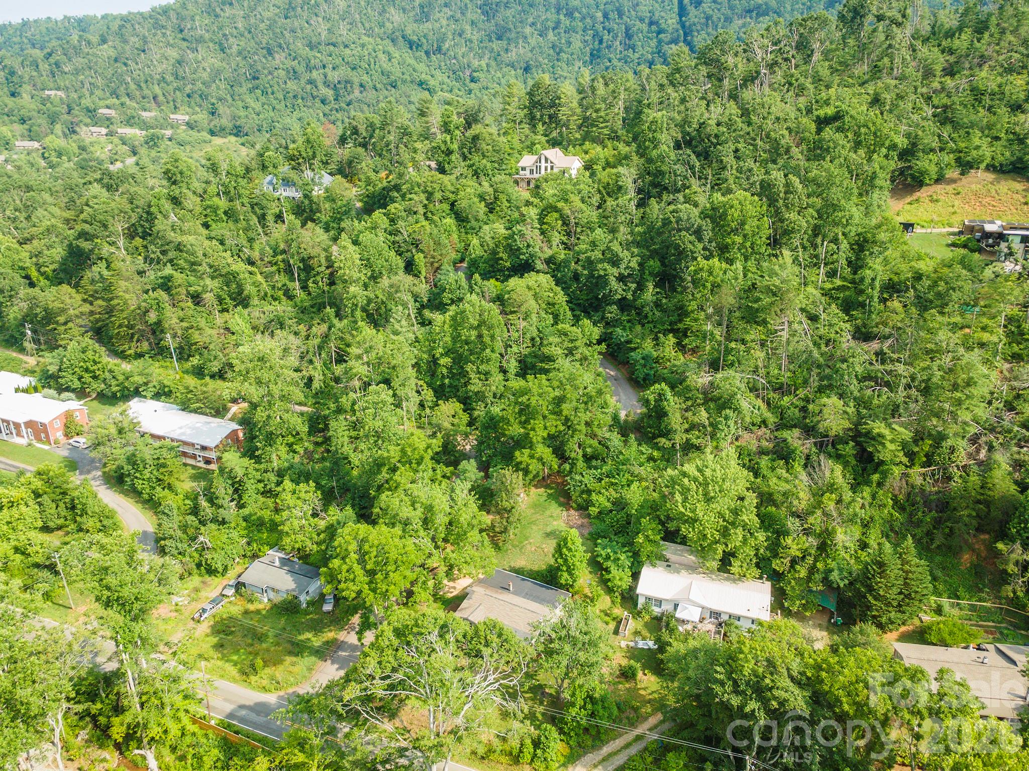 80 Webb Cove Road Asheville, NC 28804 - Photo 34 of 48