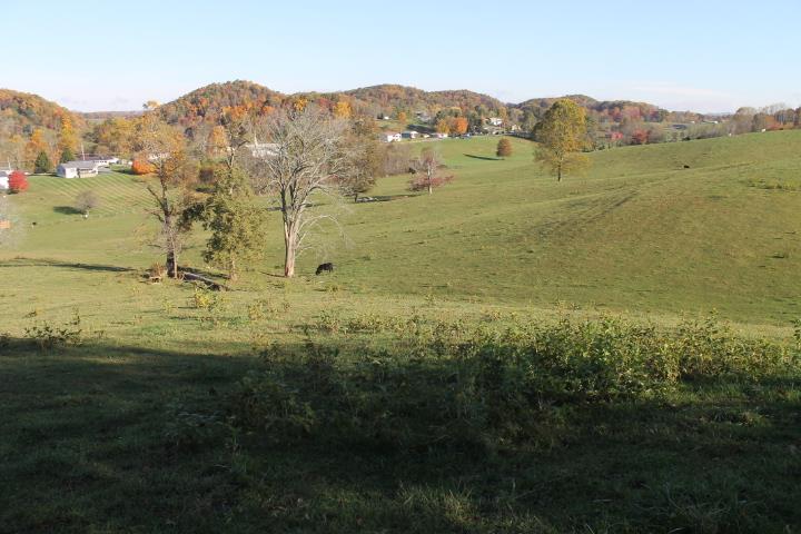 Lot 8-9 Watauga Road, Unit 8 & 9 Abingdon, VA 24211 - Photo 1 of 8 Gallery Image 1