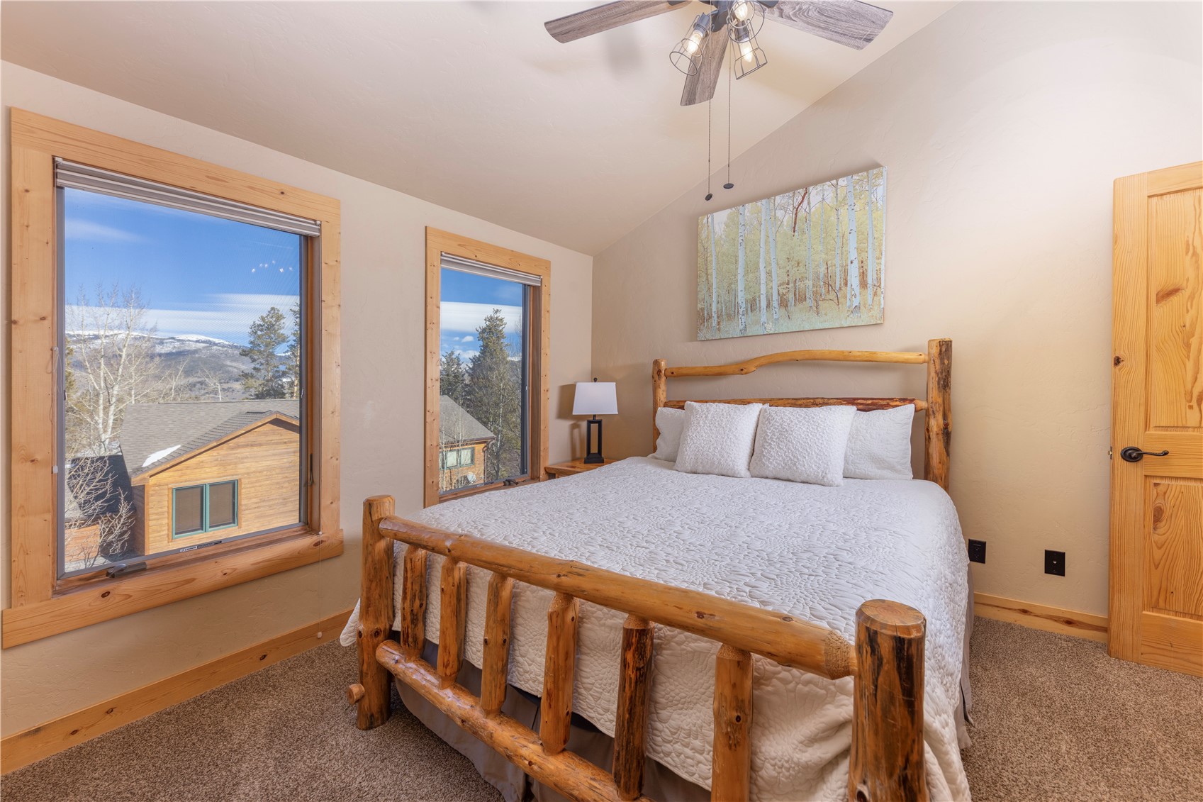 511 Ryan Gulch Road Wildernest, CO 80498 - Photo 8 of 37