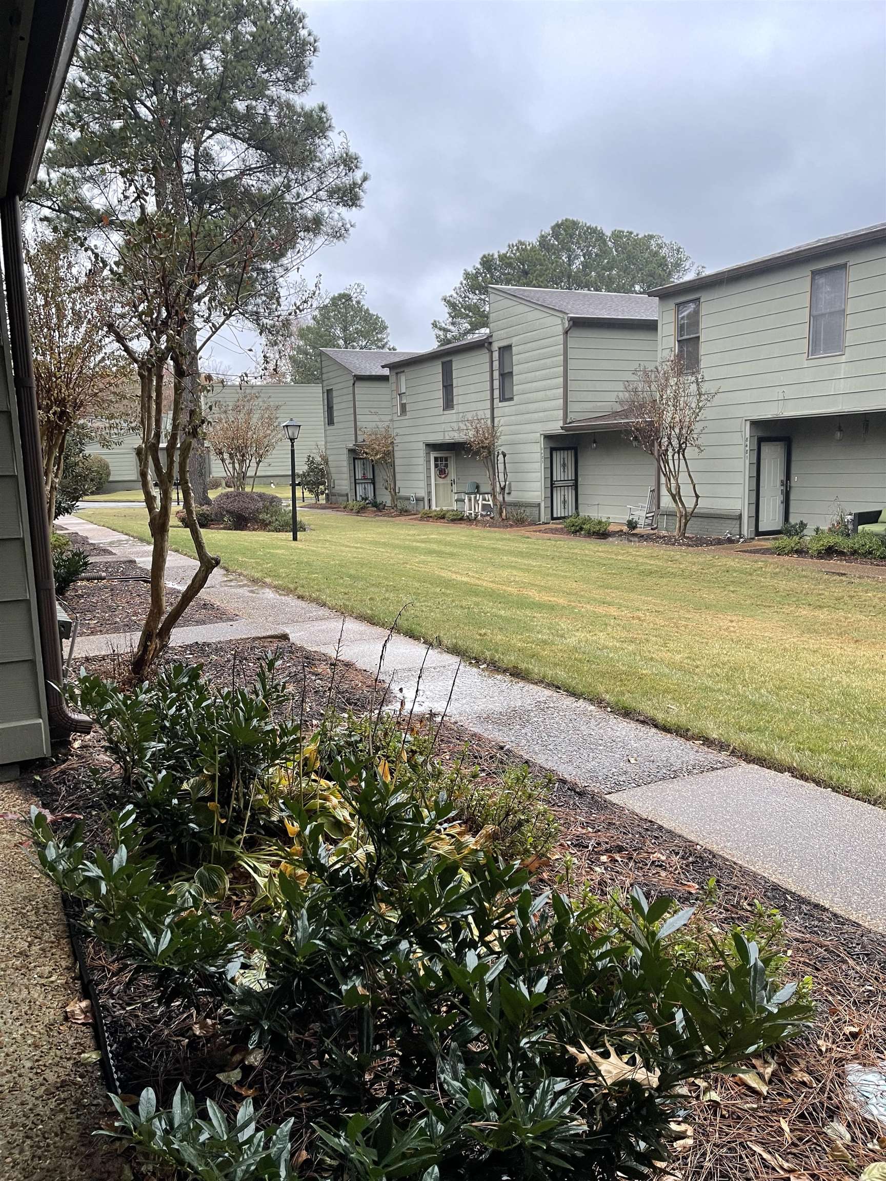 8469 Rothchild Road, Unit 33 Germantown, TN 38139 - Photo 3 of 25 View of yard