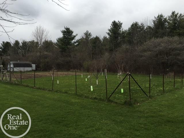 6595 Comstock Road Jeddo, MI 48032 - Photo 39 of 56