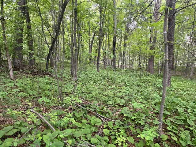 $449,900 | Xxx Xxx Crust Road, Brainerd, MN 56401