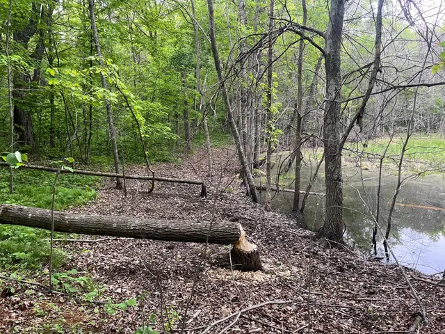 $449,900 | Xxx Xxx Crust Road, Brainerd, MN 56401