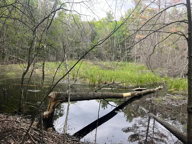 $449,900 | Xxx Xxx Crust Road, Brainerd, MN 56401