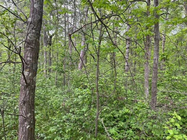 $449,900 | Xxx Xxx Crust Road, Brainerd, MN 56401