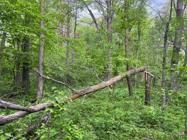 $449,900 | Xxx Xxx Crust Road, Brainerd, MN 56401