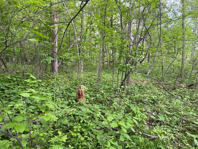 $449,900 | Xxx Xxx Crust Road, Brainerd, MN 56401