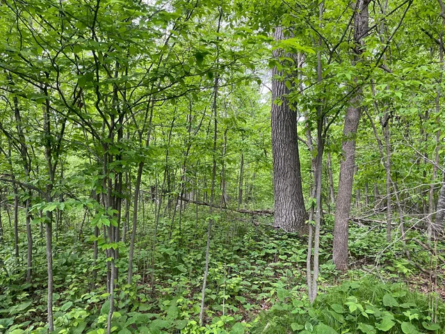 $449,900 | Xxx Xxx Crust Road, Brainerd, MN 56401