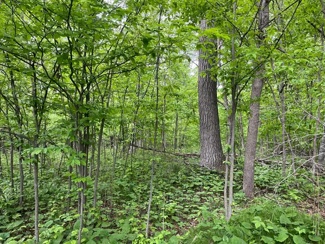 $449,900 | Xxx Xxx Crust Road, Brainerd, MN 56401